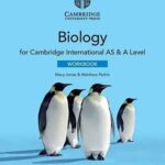 Cambridge International AS & A Level Biology Workbook image cover