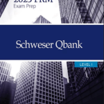 Kaplan Schweser FRM Part 1 2023 Qbank