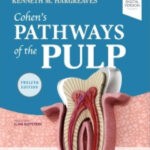 Cohen?s Pathways of the Pulp 12th Edition