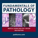 Fundamentals of Pathology by Husain A. Sattar