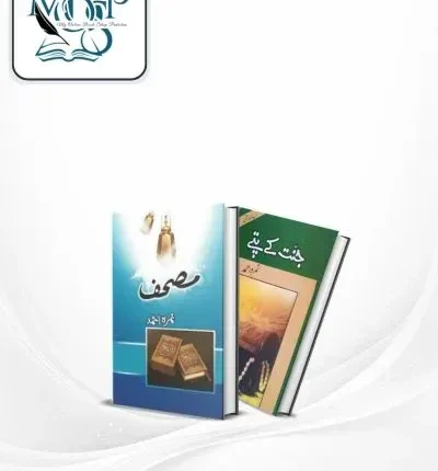 Best Selling Urdu Novels Deal 1 book cover