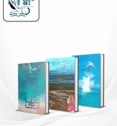 Best Selling Urdu Novels Deal 3 books cover