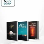 Best Selling Urdu Novels Deal 4 book cover
