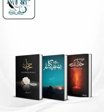 Best Selling Urdu Novels Deal 4 book cover